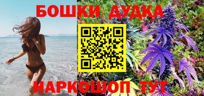 гидра Рыбинск